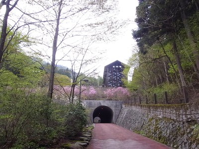 都民の森のトンネル